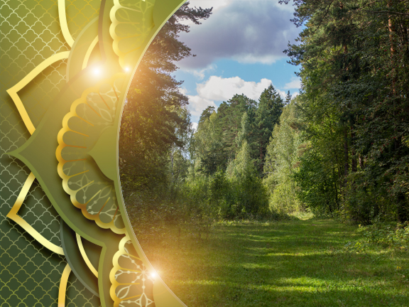 Випассана (ретрит) на выходных, Москва