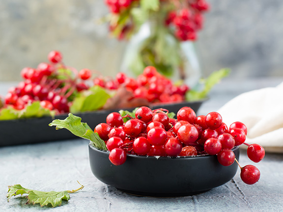 Калина красная: всё о пользе, применении и выращивании ягоды здоровья