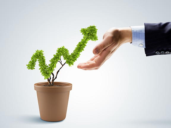 график роста в виде растения