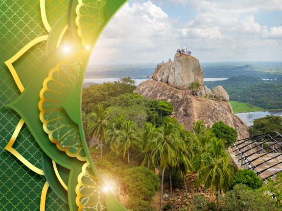 Январь 2020, Новогодний йога-тур на Шри-Ланку