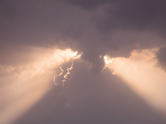 Джатака об оплакивании умерших