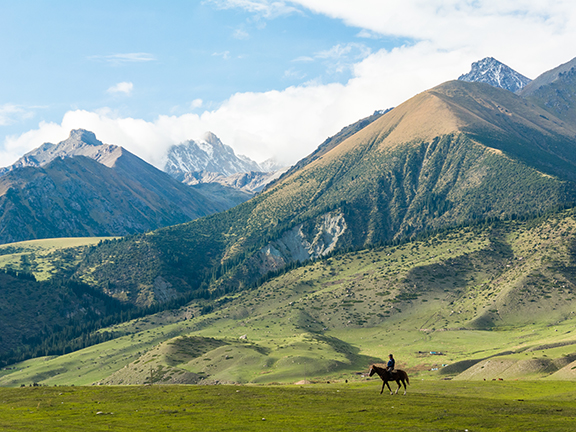 Лестница жизни 