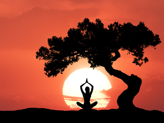 Приключения, которые чистят карму