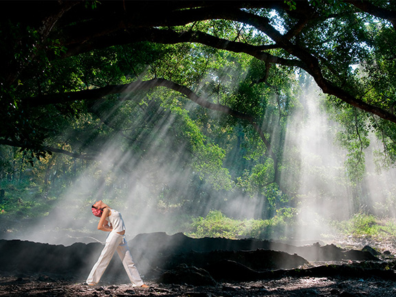 девушка занимается растяжкой в лесу