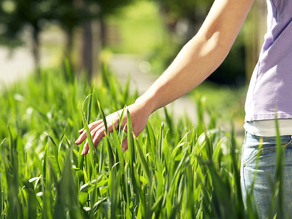 девушка гладит траву