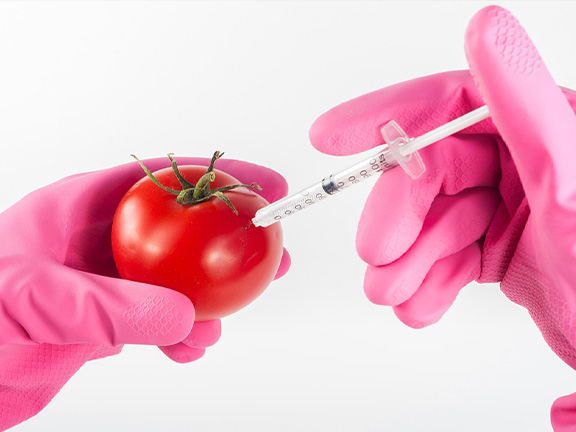 Плюсы и минусы ГМО