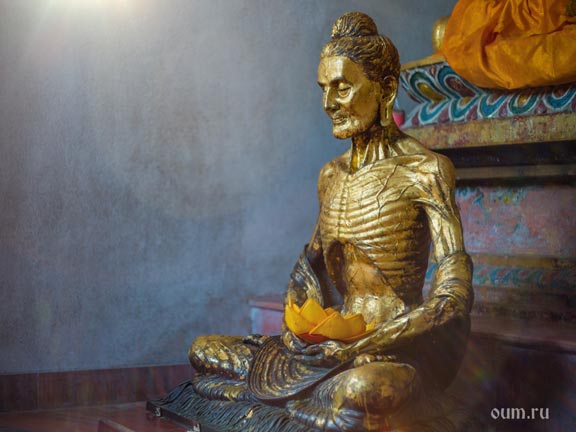 Тапокамма сутта: Суровая аскеза