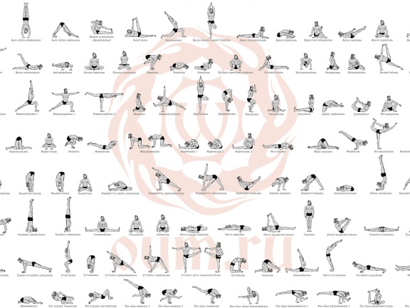 Тесты на знание асан