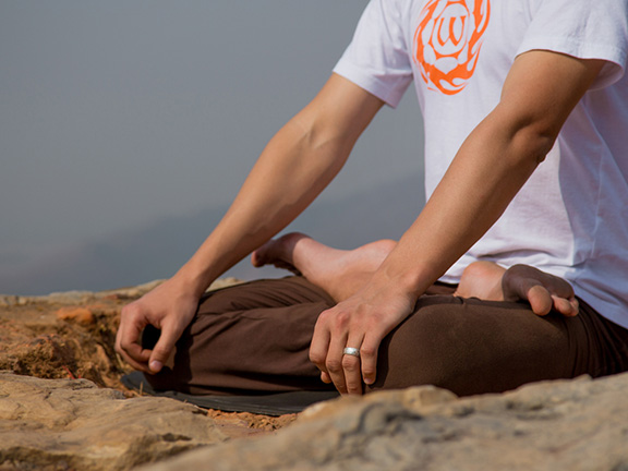 Сутра о Цветке Лотоса Чудесной Дхармы // Глава XIV Спокойные и радостные деяния