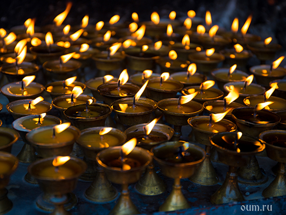 Жизнь вечна