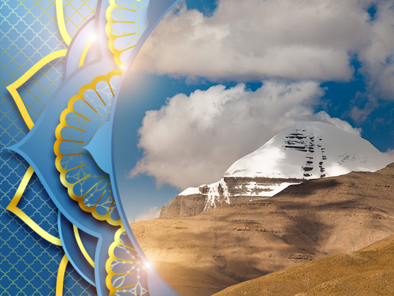 Фотографии