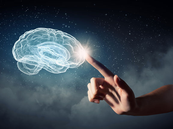 мозг человека