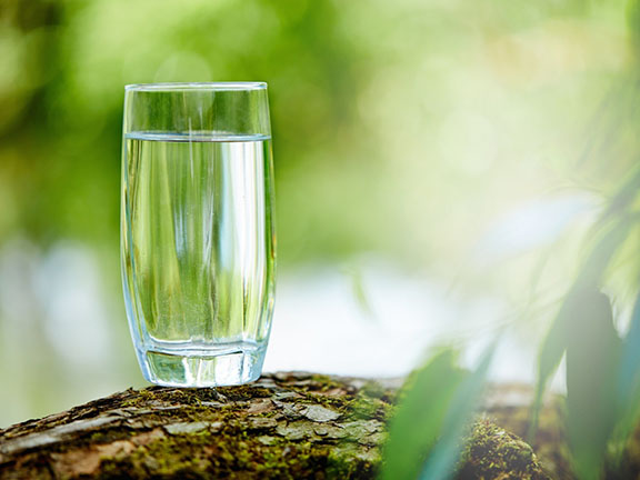 Советы начинающим по голоданию