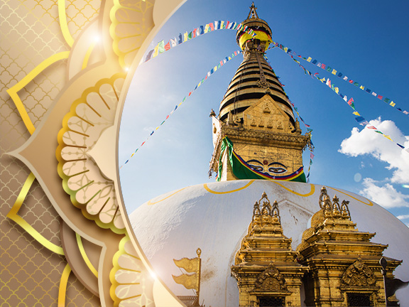 Фотографии