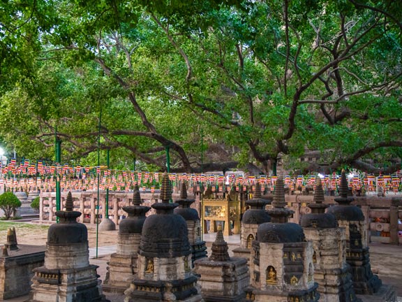 Дутия марапаса сутта: Ловушка Мары (II)