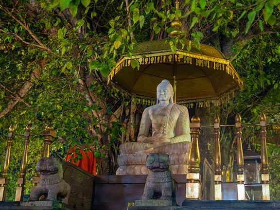 Джатака о кувшине исполнения желаний