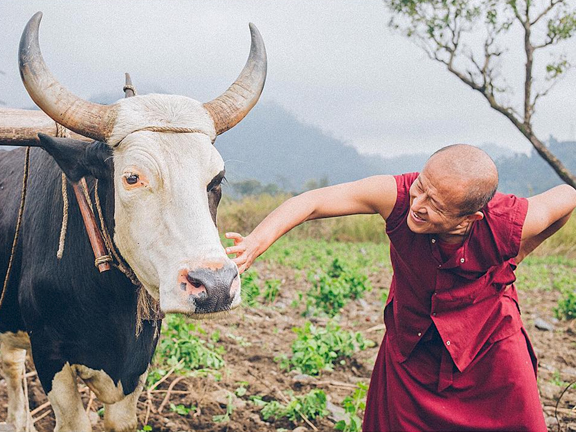 Перевод лекции Дзонгсара Джамьянга Кхьенце Ринпоче «О сострадании»