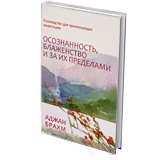 Осознанность, блаженство и за их пределами