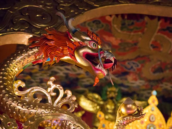 Саппа сутта: Змей