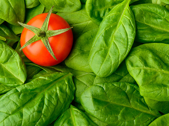 Витамин В12. Развенчание мифов