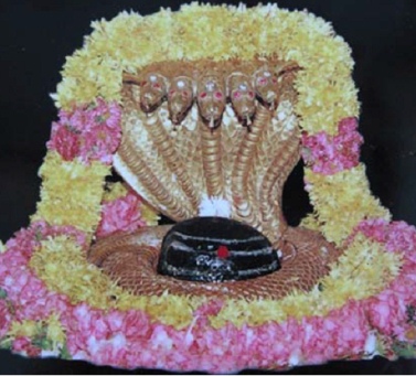 нада и джьоти фото