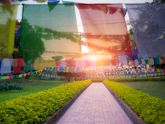 Джатака о мошеннике-предпринимателе