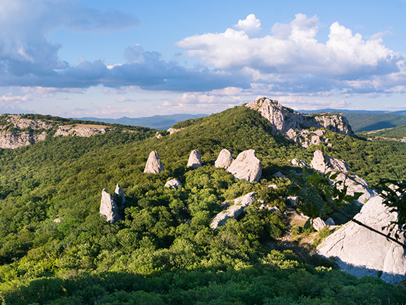Наследие кремниевой жизни. Часть 1