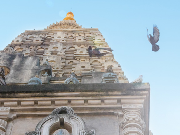 Аддхана париннья сутта: Понимание течения