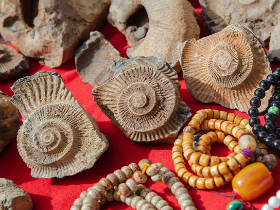 Джатака об игре на раковинах