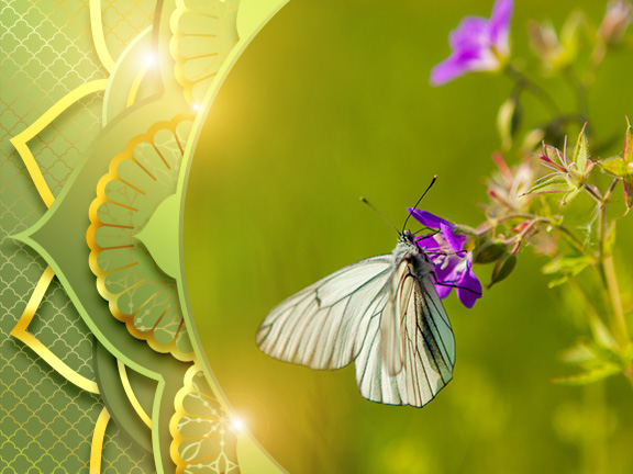 Фотографии