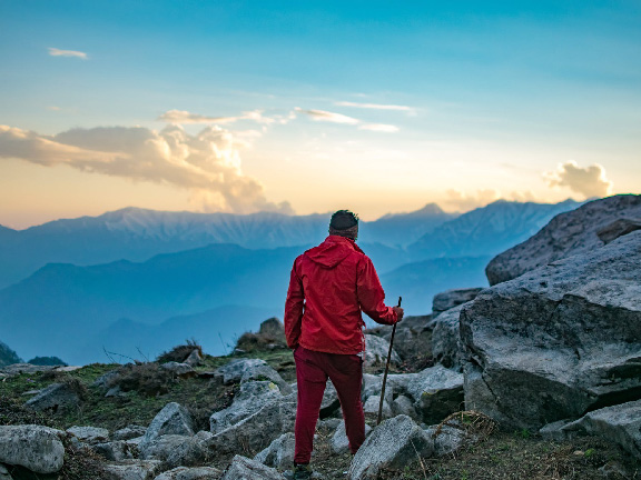 Черенок от лопаты