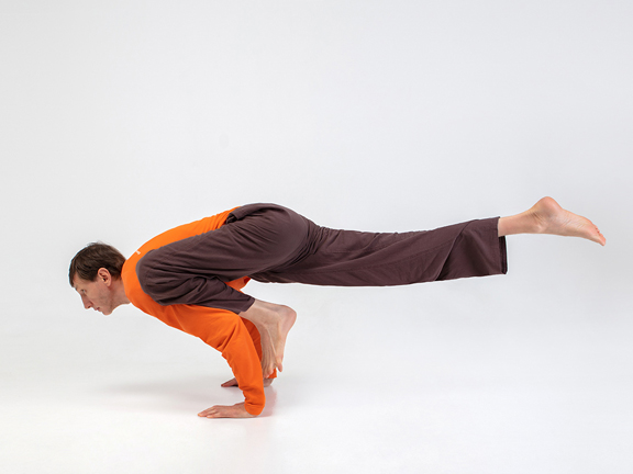 Эка Пада Бакасана