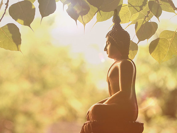 Алмаз в кармане Будды