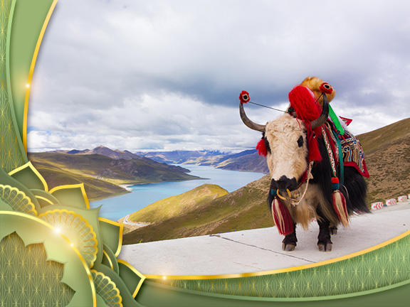 Фотографии