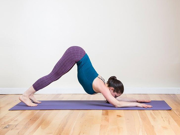 поза дельфина, йога, девушка