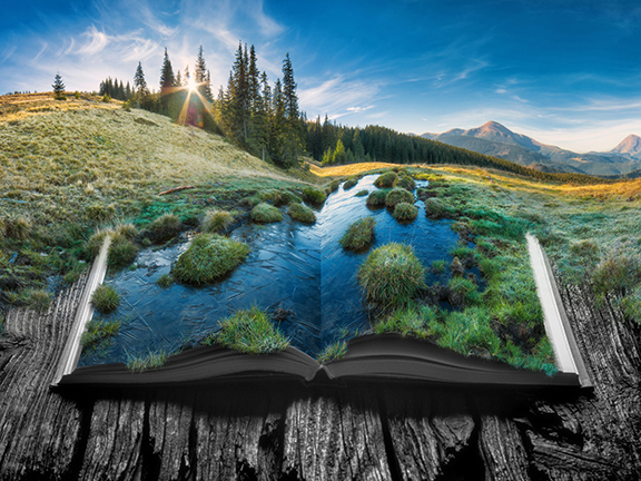 Книга жизни