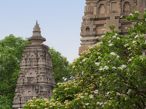 Джатака о сомнении - мудрость веков