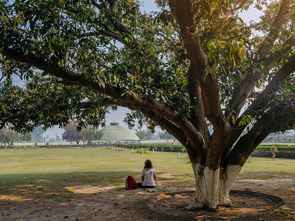 Джатака о дереве Паласа