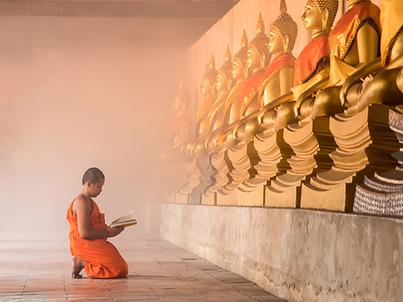 монах мальчик с писаниями у статуи будд