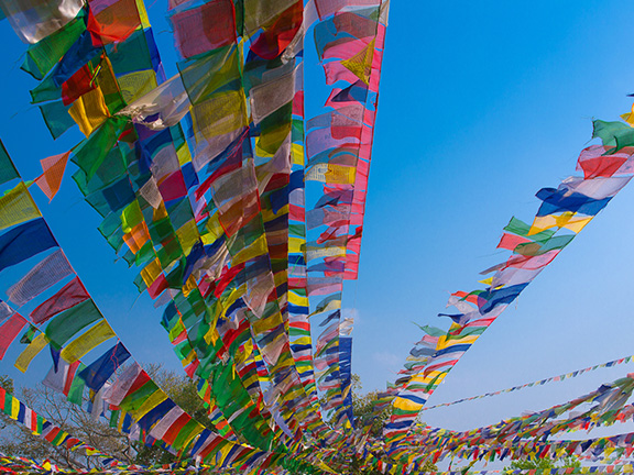 Джатака о брахмане, подарившем материю на заплату