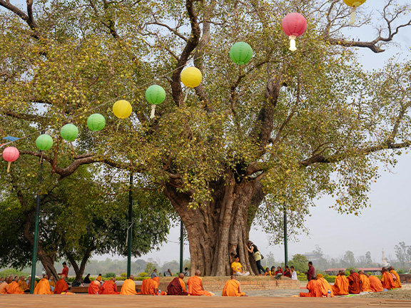 Джатака о Даддаре
