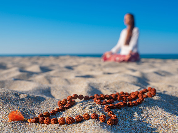 Плоды магического дерева рудракша