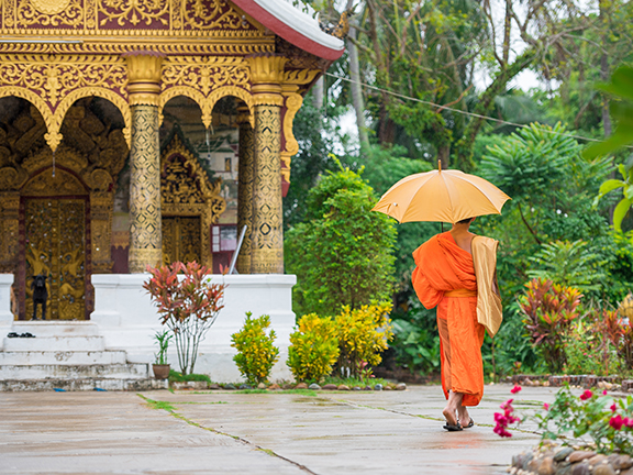 Дзен в каждом мгновении