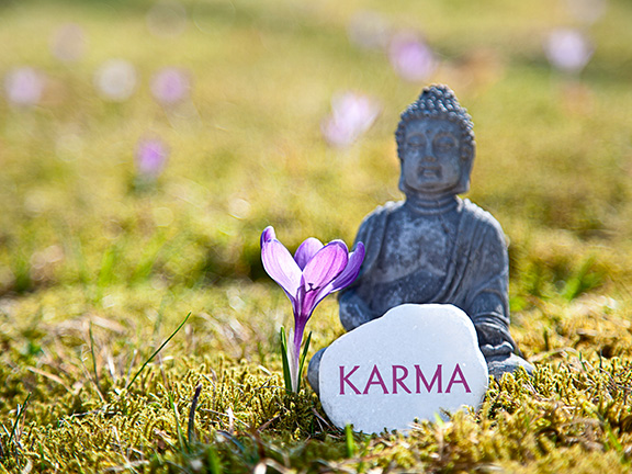 Тайны реинкарнации и случай с Шанти Дэви