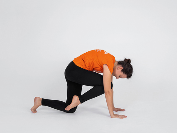Вьяграсана 2 (поза тигра)