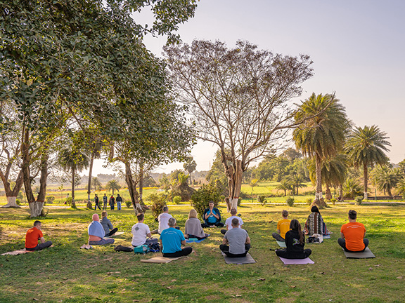 Джатака о куропатке