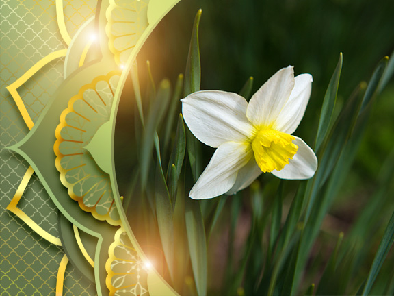 Май 2014, Ретрит-випассана "Погружение в тишину"