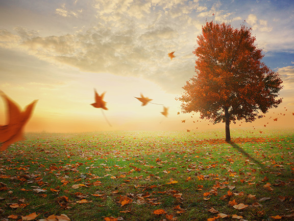 Реинкарнация в раннем Христианстве