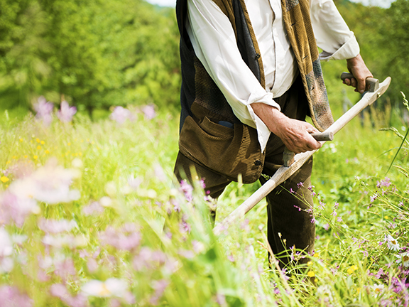 Добрый царь и крестьянин