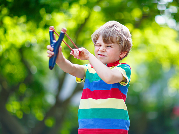 Ребенок агрессивно относится к животным...